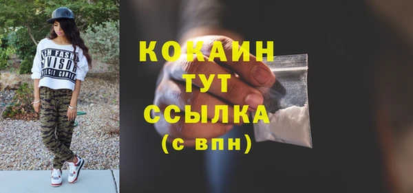стаф Верея