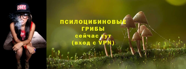 стаф Верея