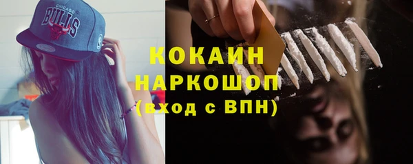 стаф Верея