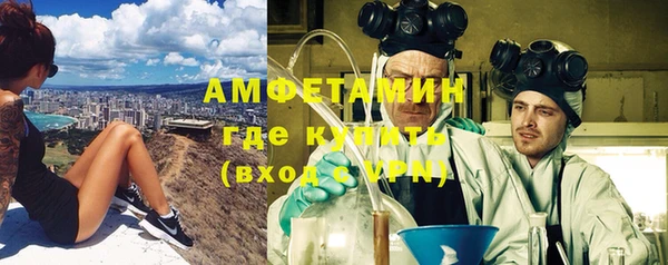 гидра Верхний Тагил