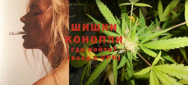 стаф Верея