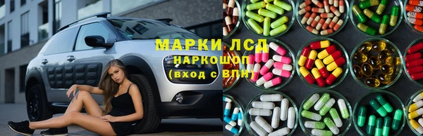 гидра Верхний Тагил