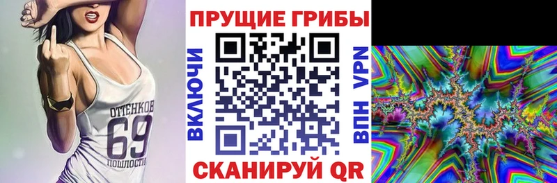 Купить закладки  Кстово  Галлюциногенные грибы MAGIC MUSHROOMS 